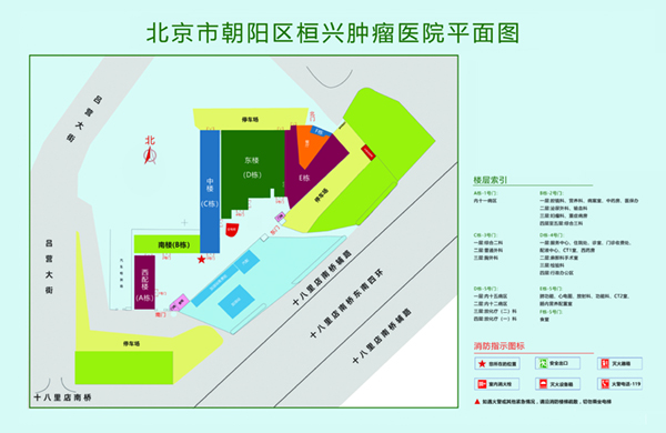 色老太太bbw北京市朝阳区桓兴肿瘤医院平面图